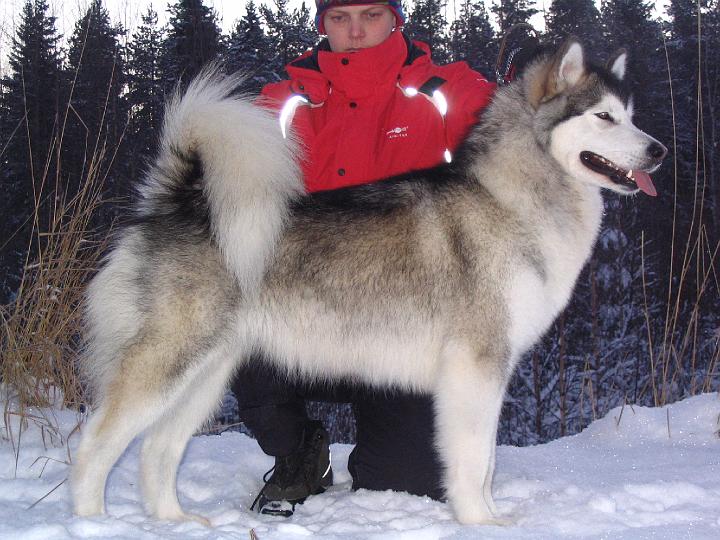 Awa Marras-07 007.jpg - Awa in November 2007